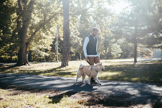 man walking dog though neighborhood